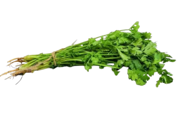 Dhania (Coriander) per Bunch