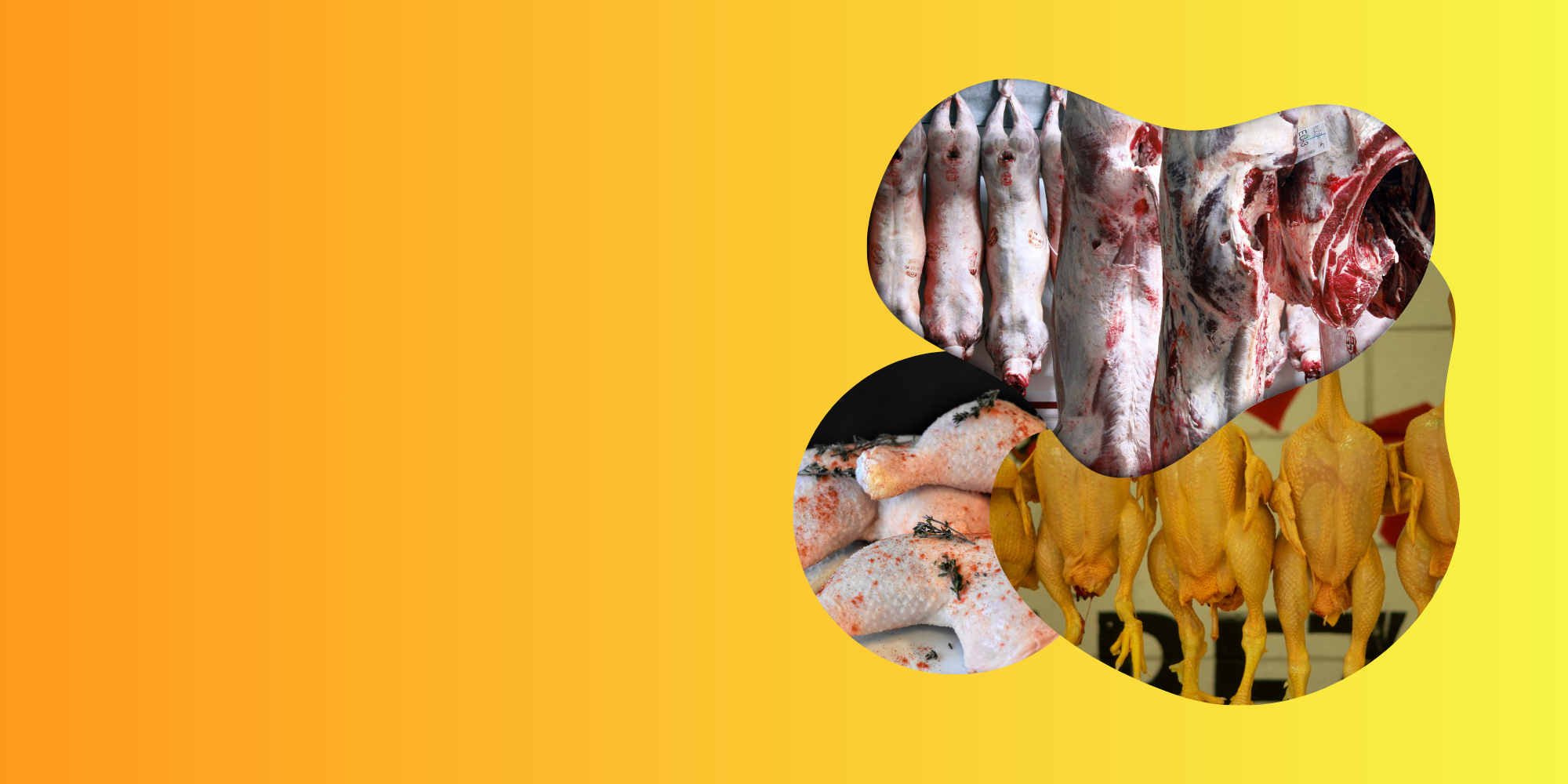 Fresh Meat