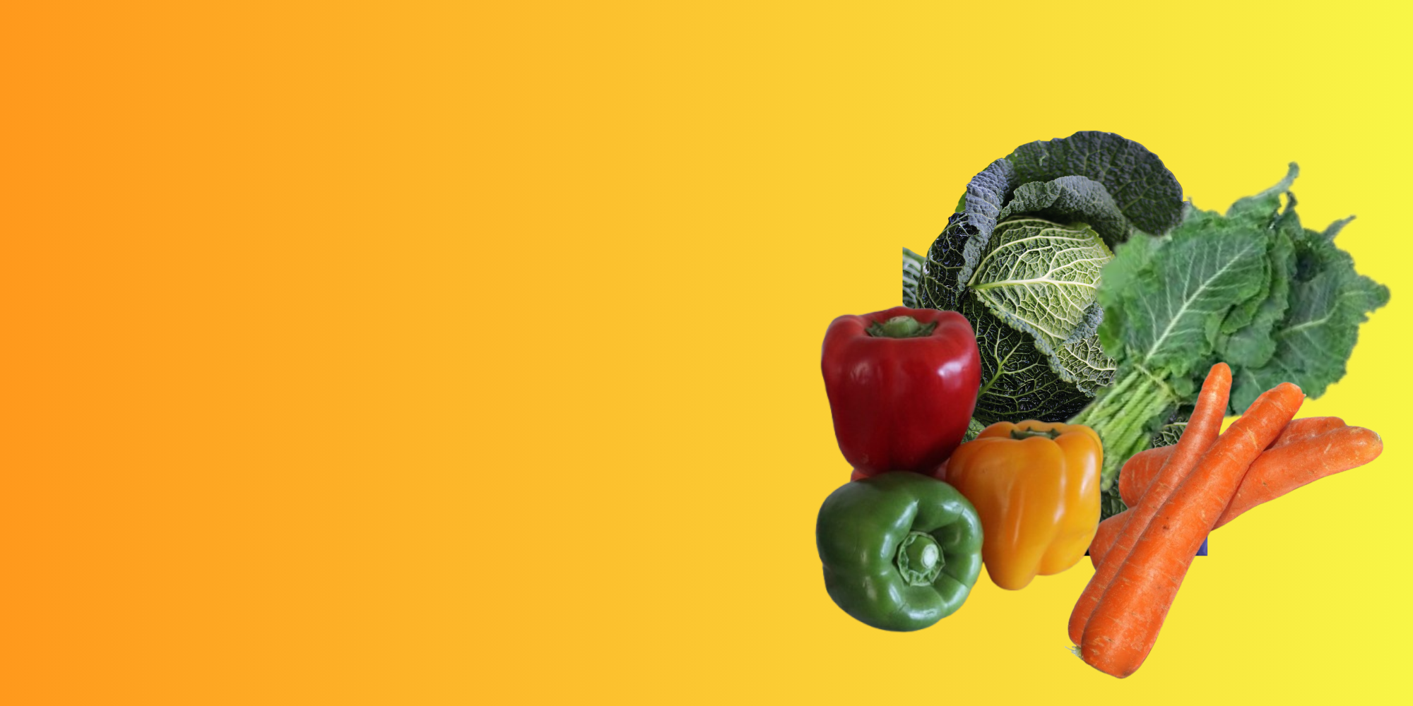 Fresh Vegetables