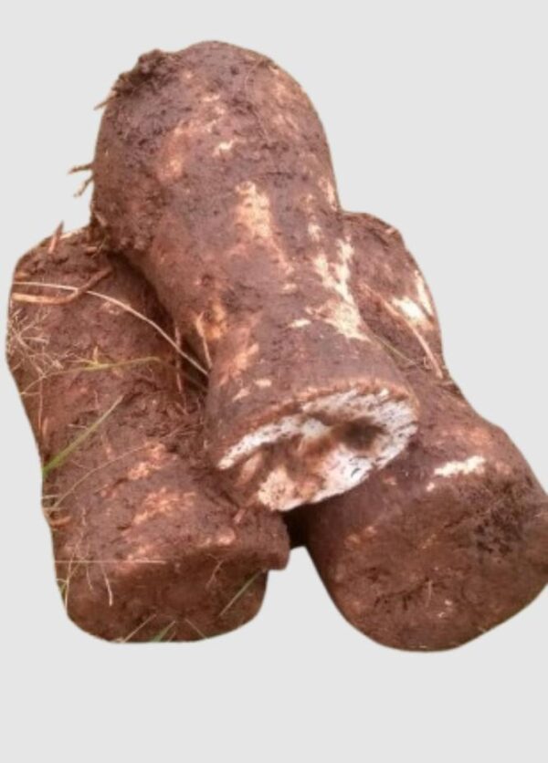 Nduma (Arrow Roots) per Kg