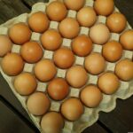 eggs
