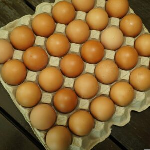 eggs