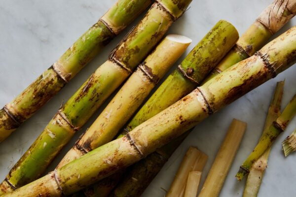 Sugarcane per Stick