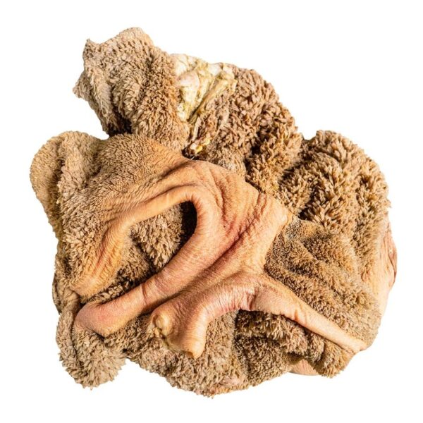 Beef Tripe (Matumbo) per kg