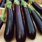 Aubergine-per-kg-Biriganya-Doorstep-Soko-Hub