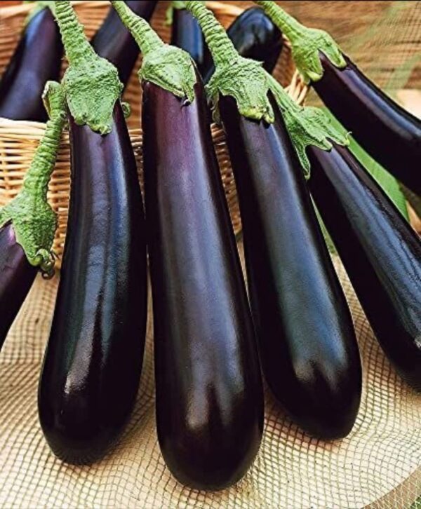 Aubergine-per-kg-Biriganya-Doorstep-Soko-Hub