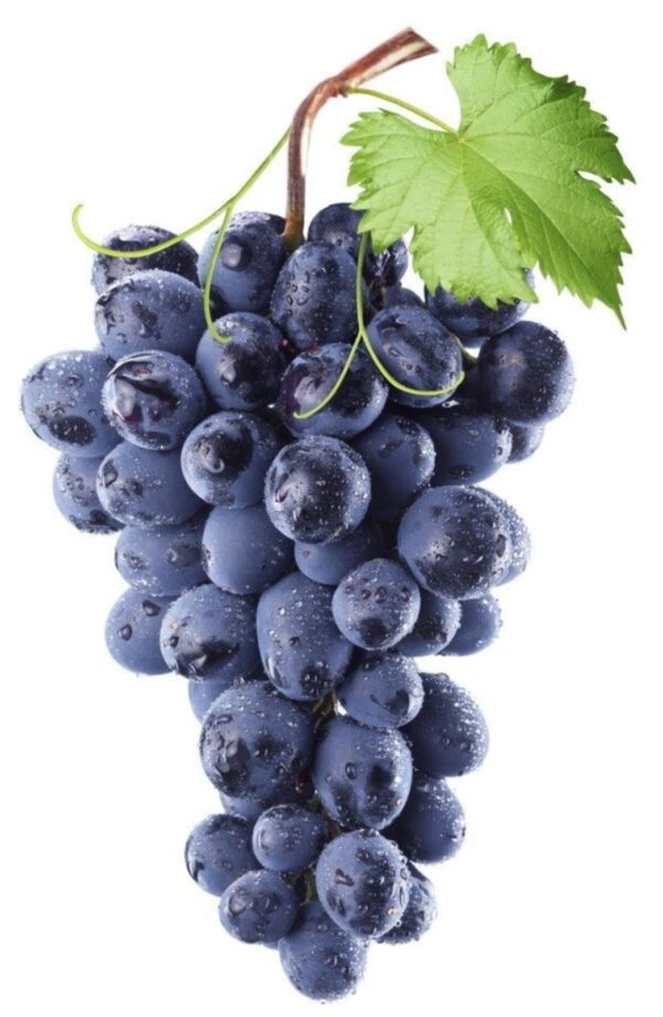 Black-grapes-Per-Punnet-Doorstep-Soko-Hub