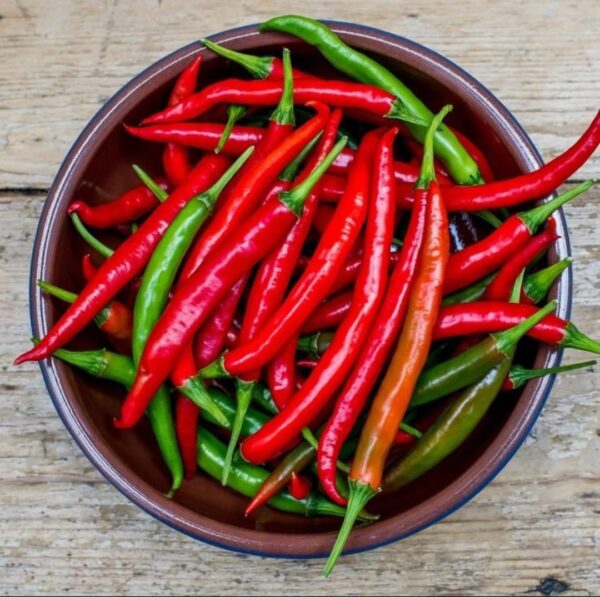 Chillie-per-kg-Doorstep-Soko-Hub
