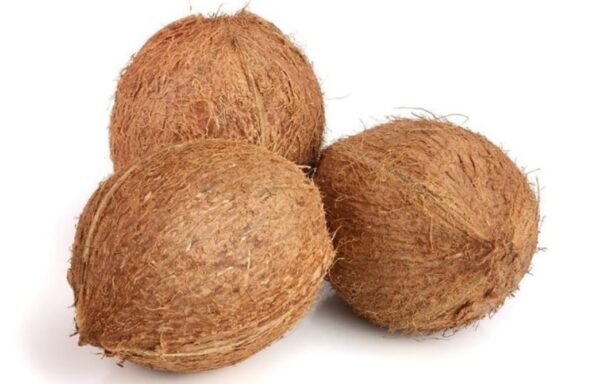 Coconut-per-piece-Doorstep-Soko-Hub