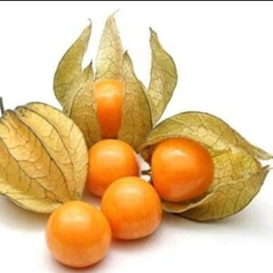 Gooseberry-Nathi-Per-punnet-Doorstep-soko