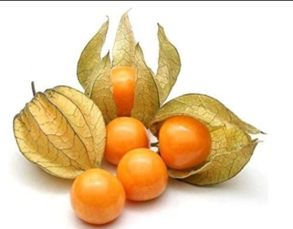 Gooseberry-Nathi-Per-punnet-Doorstep-soko