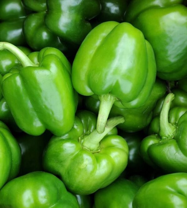 Green-Capsicum-per-kg-Doorstep-Soko-Hub.j