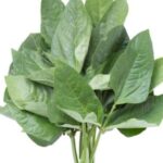 Kunde-per-bunch-Doorstep-Soko-Hub