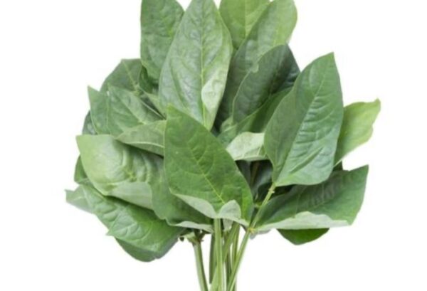 Kunde-per-bunch-Doorstep-Soko-Hub