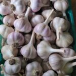 Local-Garlic-per-kg-Doorstep-Soko-Hub