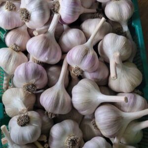 Local-Garlic-per-kg-Doorstep-Soko-Hub