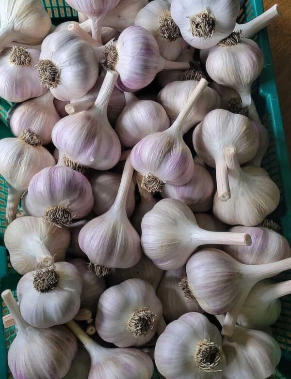 Local Garlic per Kg
