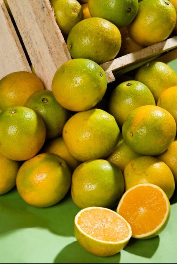 Local-Oranges-per-piece-Doorstep-Soko-Hub