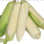 Maize-per-piece-Doorstep-Soko-Hub