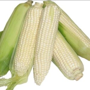 Maize-per-piece-Doorstep-Soko-Hub