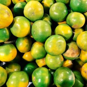 Mandarins-Per-kg-Doorstep-Soko-Hub.