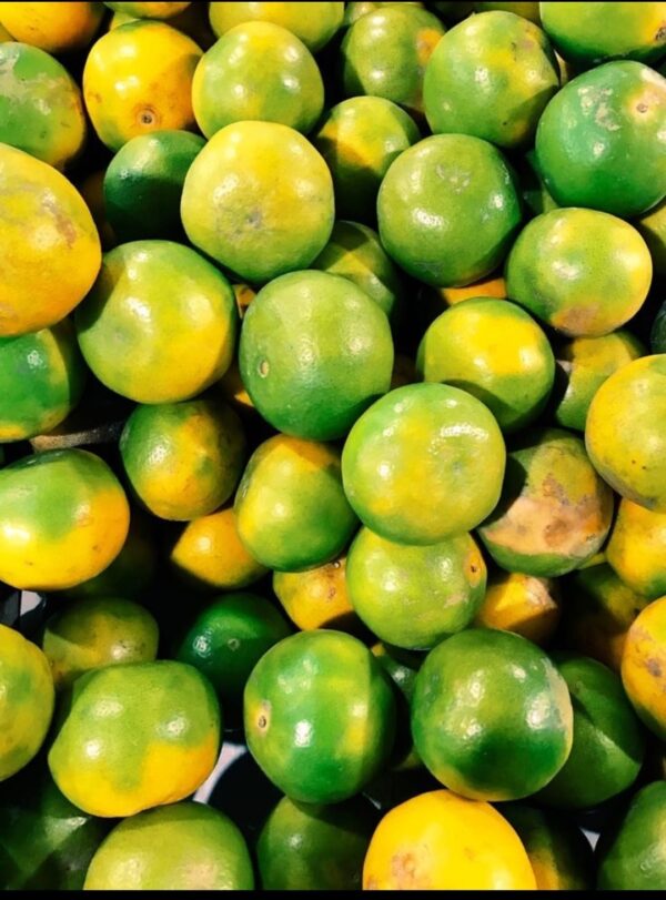 Mandarins-Per-kg-Doorstep-Soko-Hub.