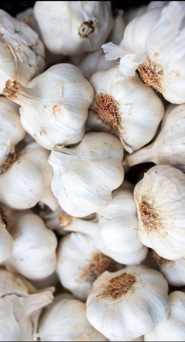 Snow White Garlic per Kg