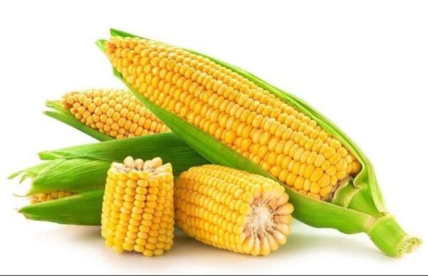 Sweet-Corn-Per-Kg-Doorstep-Soko-Hub