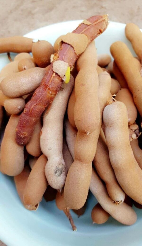 Tamarind per Punnet (Ukwaju)
