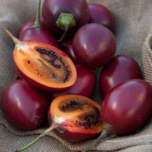 Tree-tomato-per-kg-Doorstep-Soko-Hub