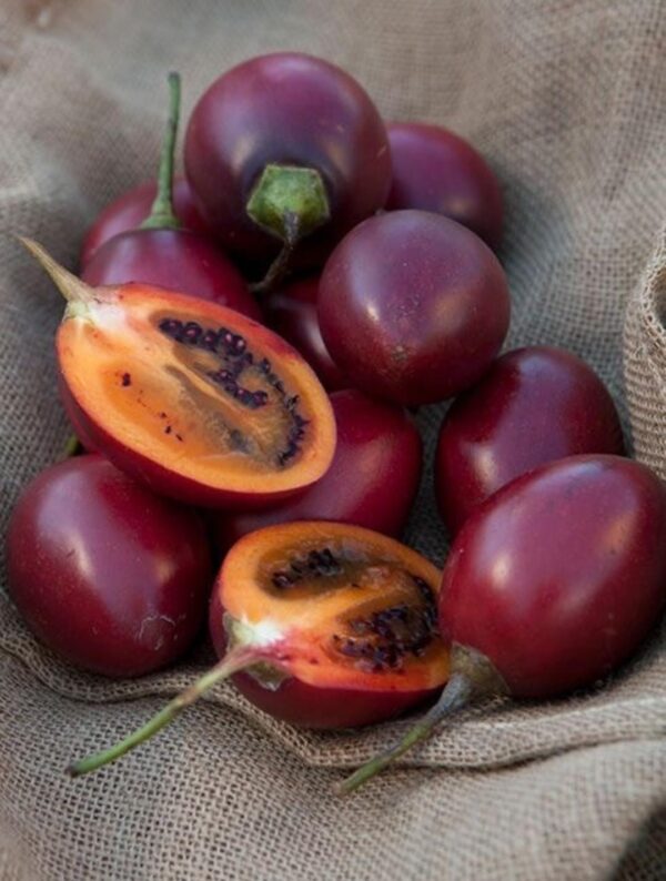 Tree-tomato-per-kg-Doorstep-Soko-Hub
