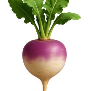 Turnips-Per-kg-Doorstep-Soko-Hub