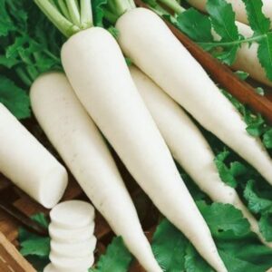White-Radish-5-Pieces-Doorstep-Soko-Hub