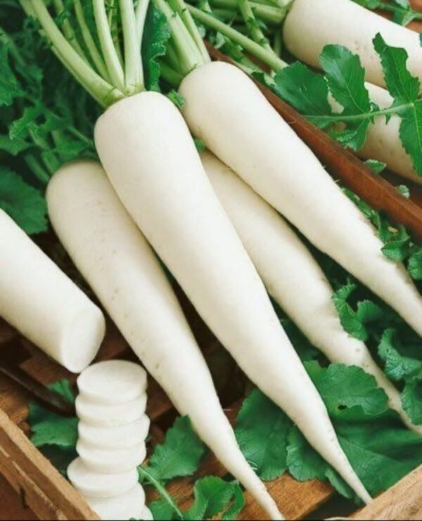 White-Radish-5-Pieces-Doorstep-Soko-Hub